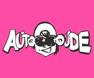 300x250 Autodude banner