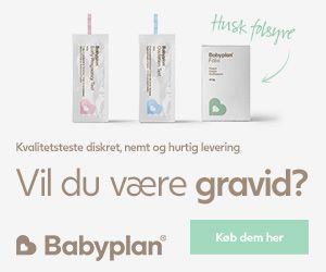 300x250 Babyplan banner