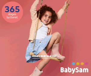 300x250 BabySam banner