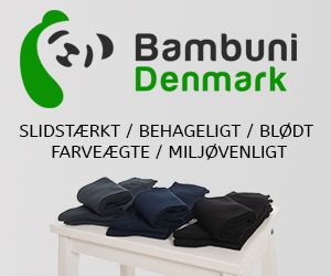 300x250 Bambuni banner