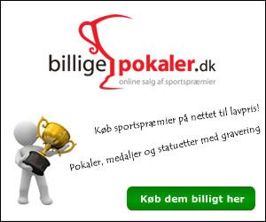 300x250 Billigepokaler banner