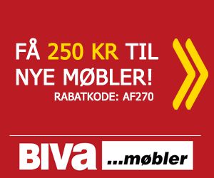 300x250 BIVA banner