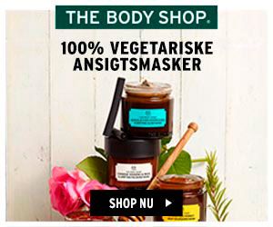300x250 The Body Shop banner