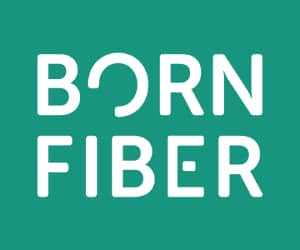 300x250 Bornfiber banner