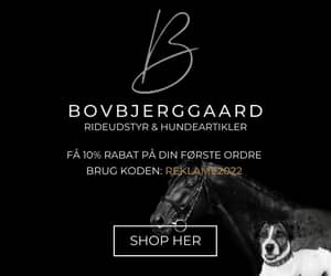 300x250 Bovbjerggaard banner
