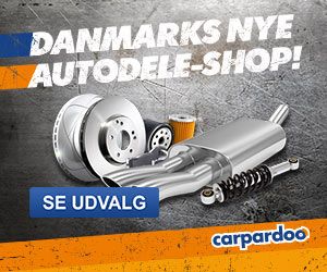 300x250 Carpardoo banner