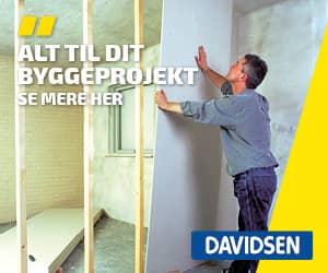 300x250 DavidsenShop banner