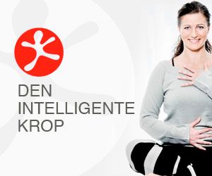 300x250 Den Intelligente Krop banner