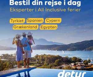 300x250 Detur banner