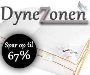 300x250 DyneZonen banner