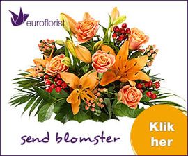 300x250 Euroflorist banner