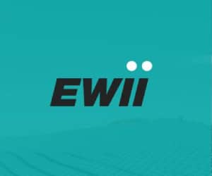 300x250 EWII banner