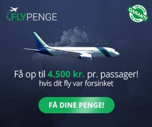 300x250 Flypenge banner