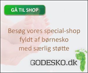 300x250 Godesko banner