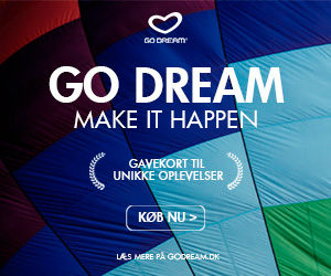300x250 Go Dream banner