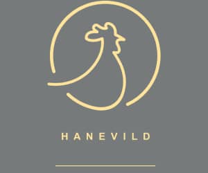 300x250 Hanevild banner