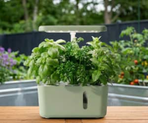 300x250 HappyGrow banner