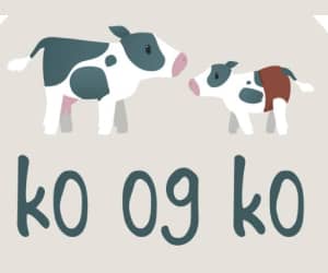 300x250 Ko og Ko banner