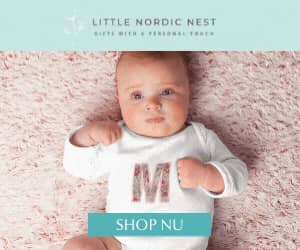 300x250 Little Nordic Nest banner