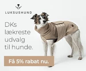 300x250 Luksushund banner