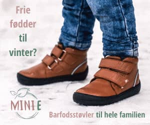 300x250 MiniE banner