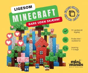 300x250 Miniminds banner