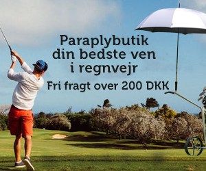 300x250 Paraplybutik banner