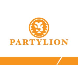 300x250 Partylion banner
