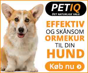 300x250 PetIQ banner
