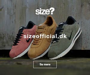 300x250 SizeOfficial banner