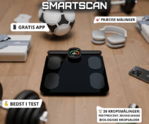 300x250 Smartscan banner