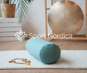 300x250 Sportnordica banner