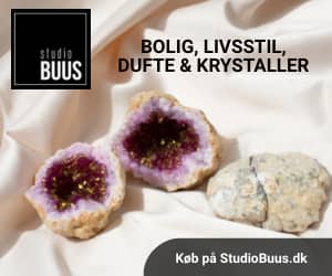 300x250 Studio Buus banner