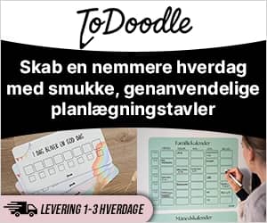 300x250 ToDoodle banner