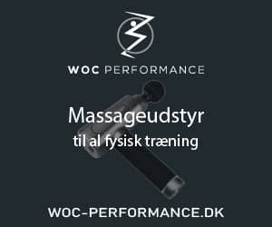 300x250 WOC Performance banner