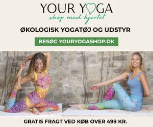 300x250 Youryogashop banner