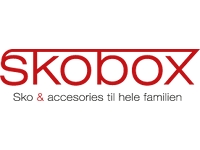 300x250 Skobox banner